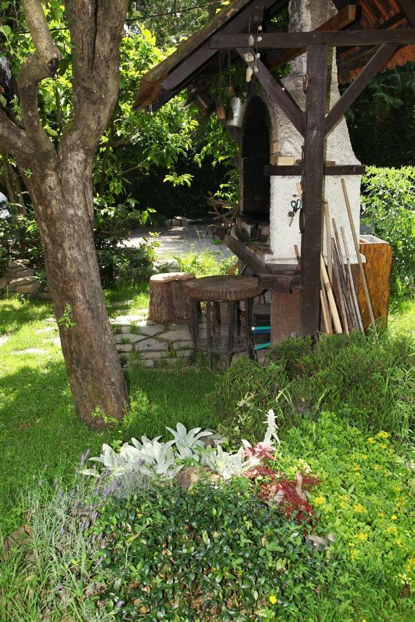 Apple Tree *