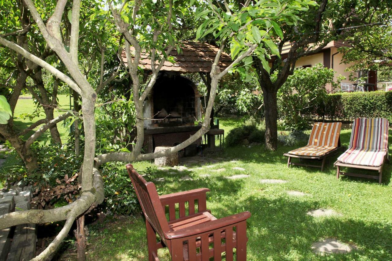 Apartment Apple Tree